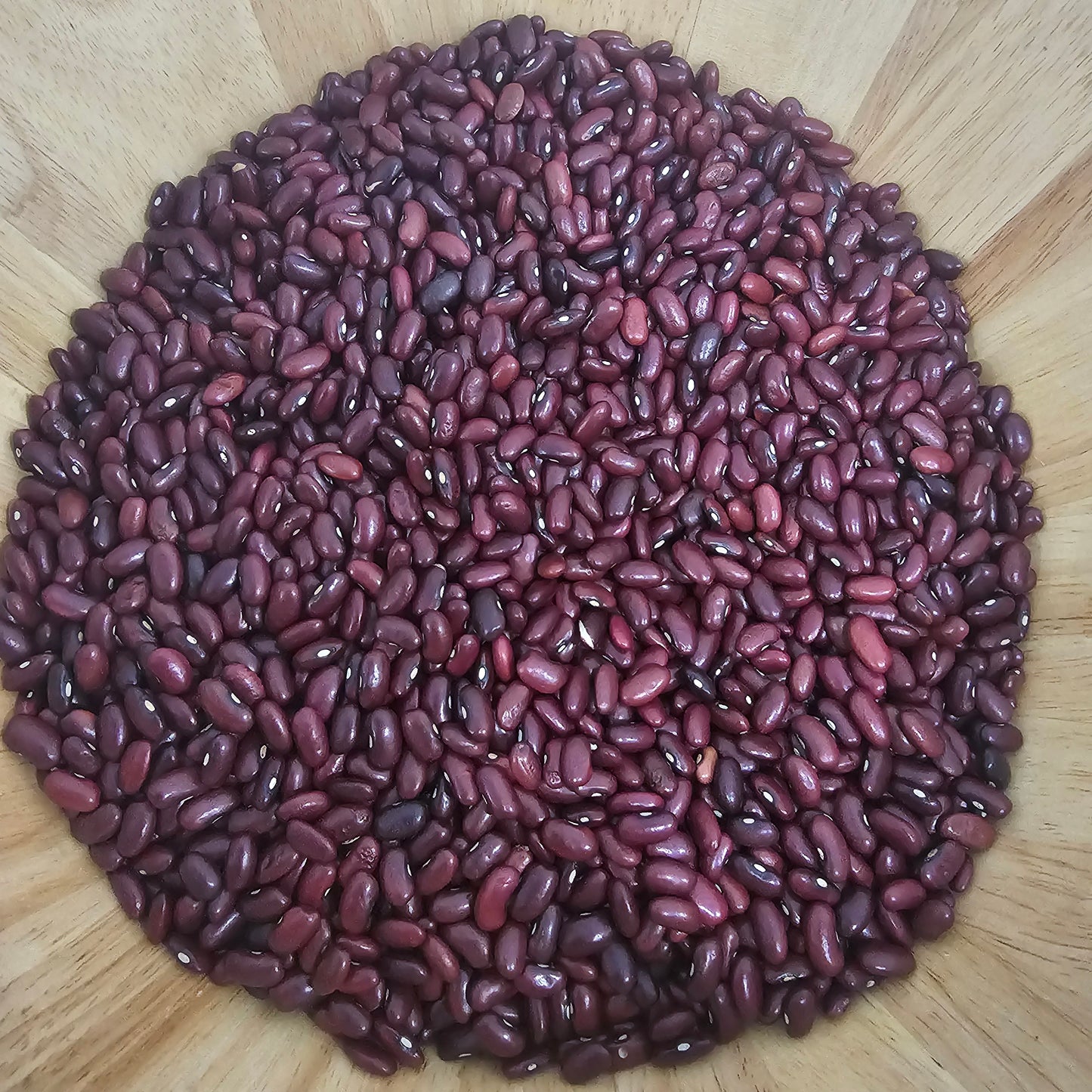 Frijol de Seda - 4 Libras por $10.00